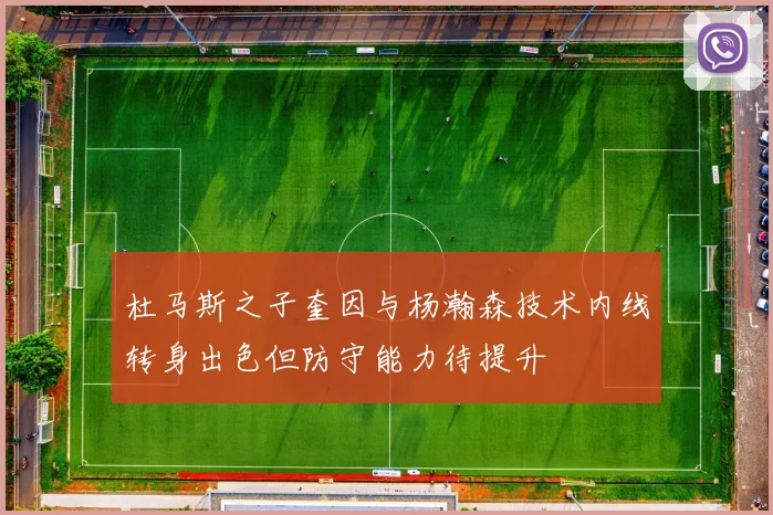 杜马斯之子奎因与杨瀚森技术内线转身出色但防守能力待提升